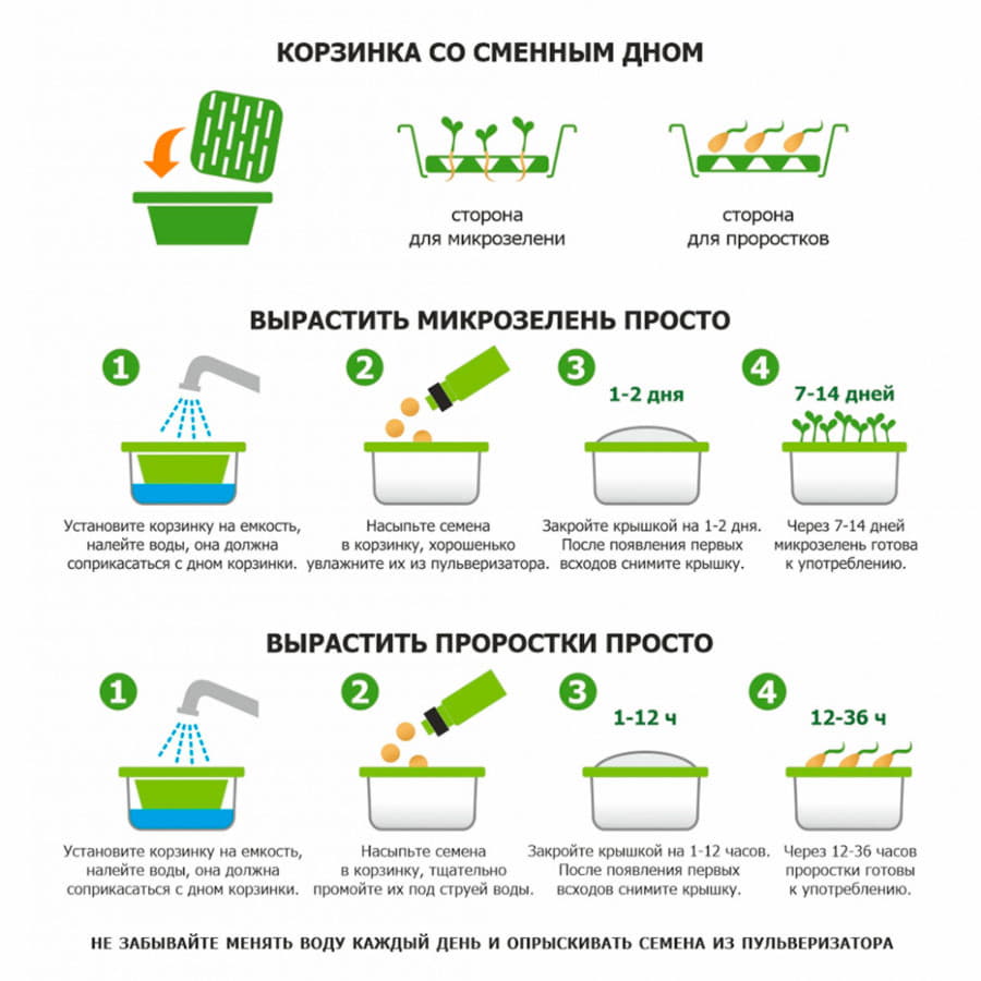 Подарочный комплект для проращивания микрозелени: проращиватель, семена дайкона, зеленый-4