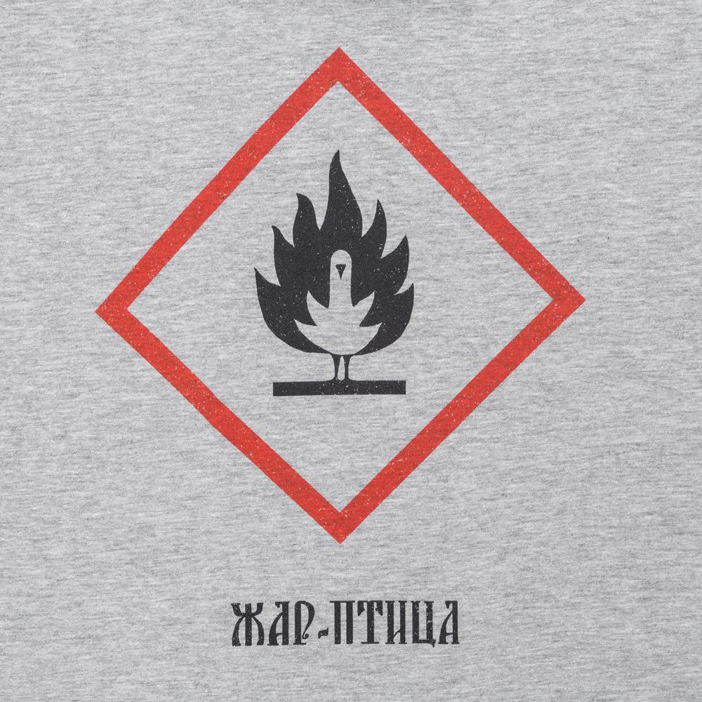 Футболка «Жар-птица», серый меланж-3