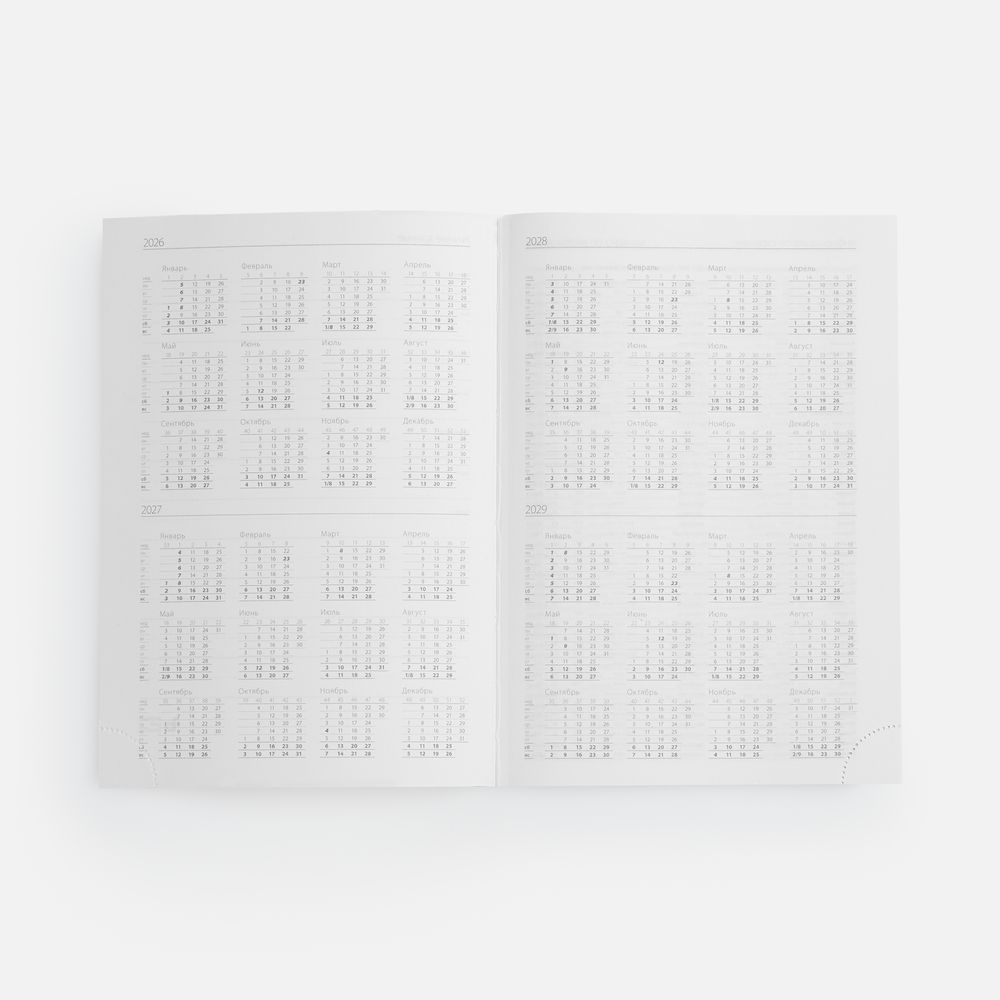 Ежедневник Favor Metal, недатированный, оранжевый-2