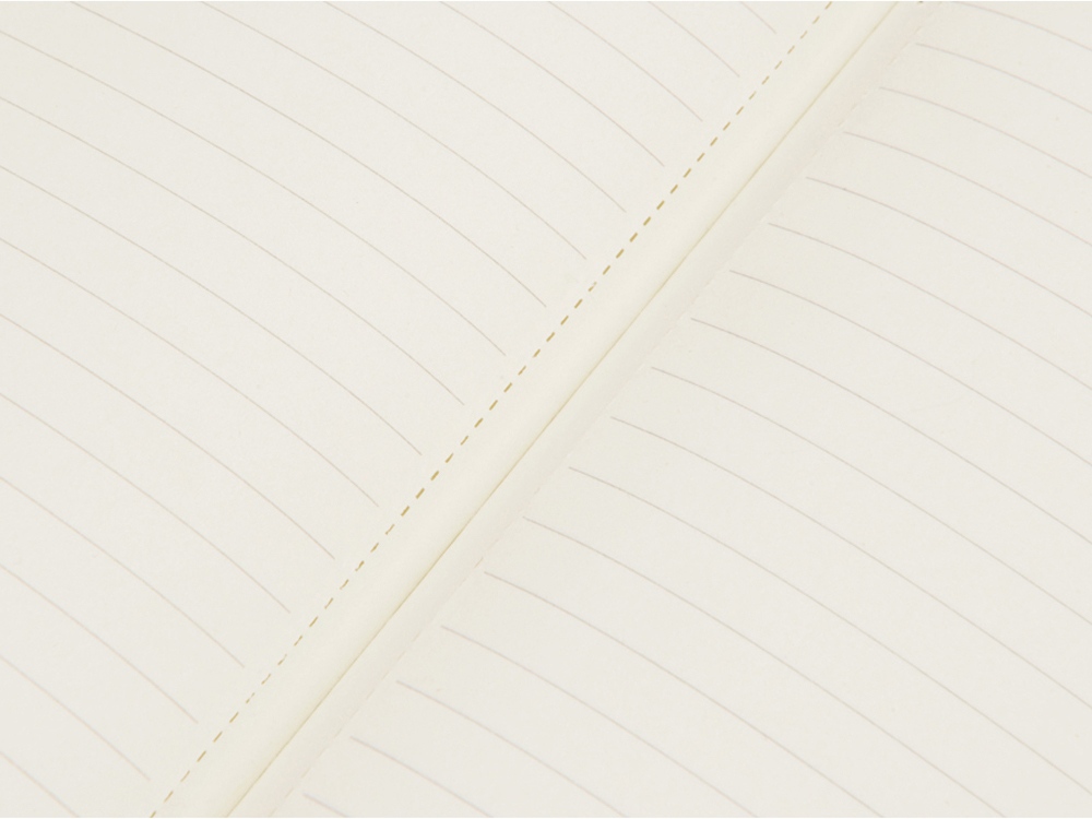 Блокнот Notepeno А5 с тонированными линованными страницами, зеленое яблоко-4