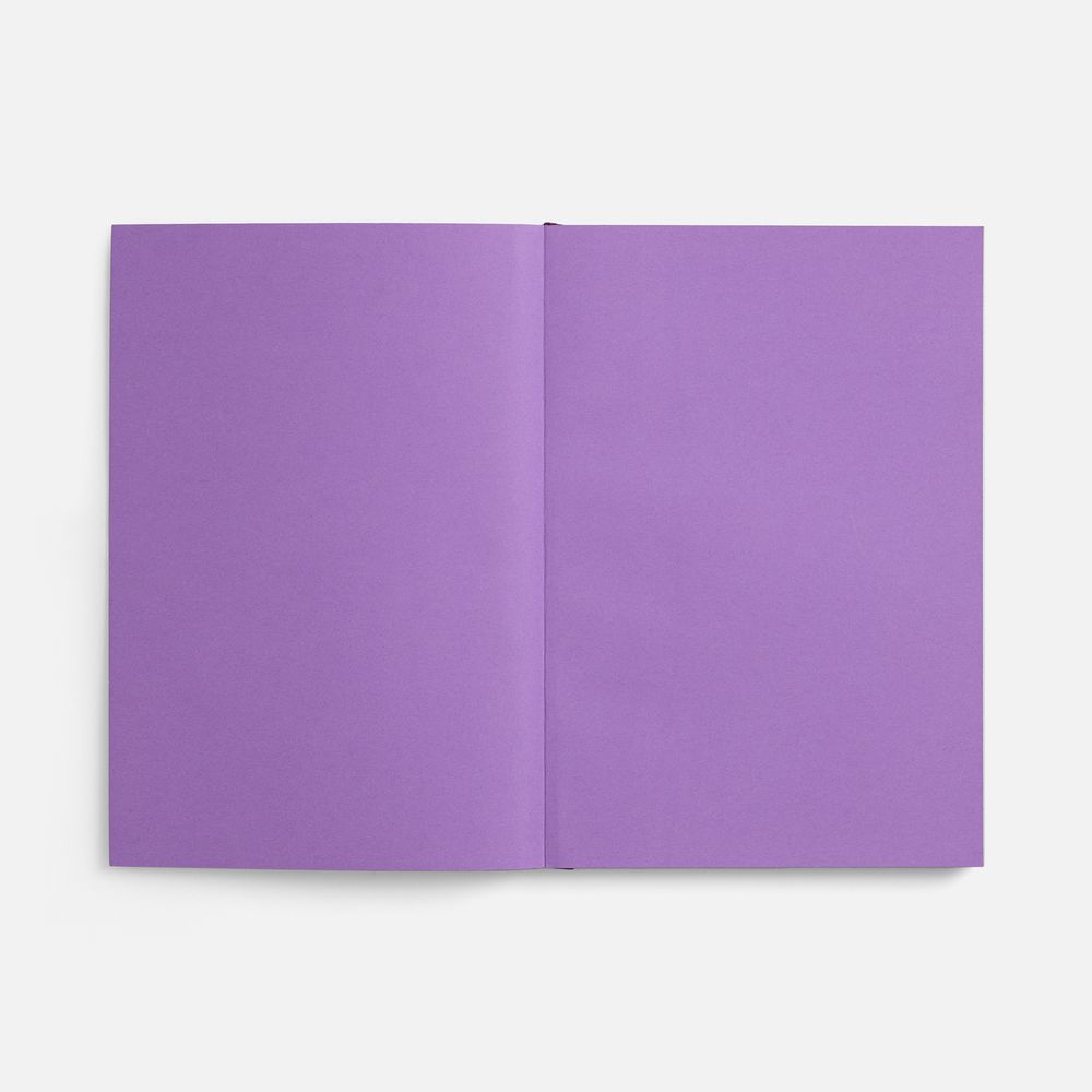 Ежедневник Flat, недатированный, фиолетовый, ver.2-3