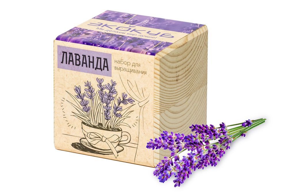 Набор для выращивания «Экокуб», лаванда-1