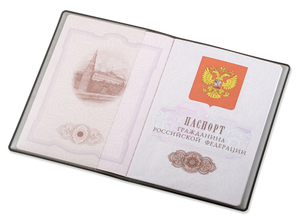 Классическая обложка для паспорта Favor, светло-серая-1