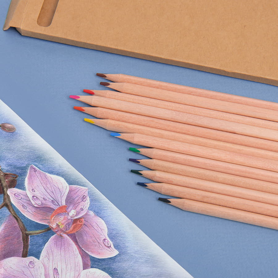 Цветные карандаши KINDERLINE middle,12 цветов, бежевый-5