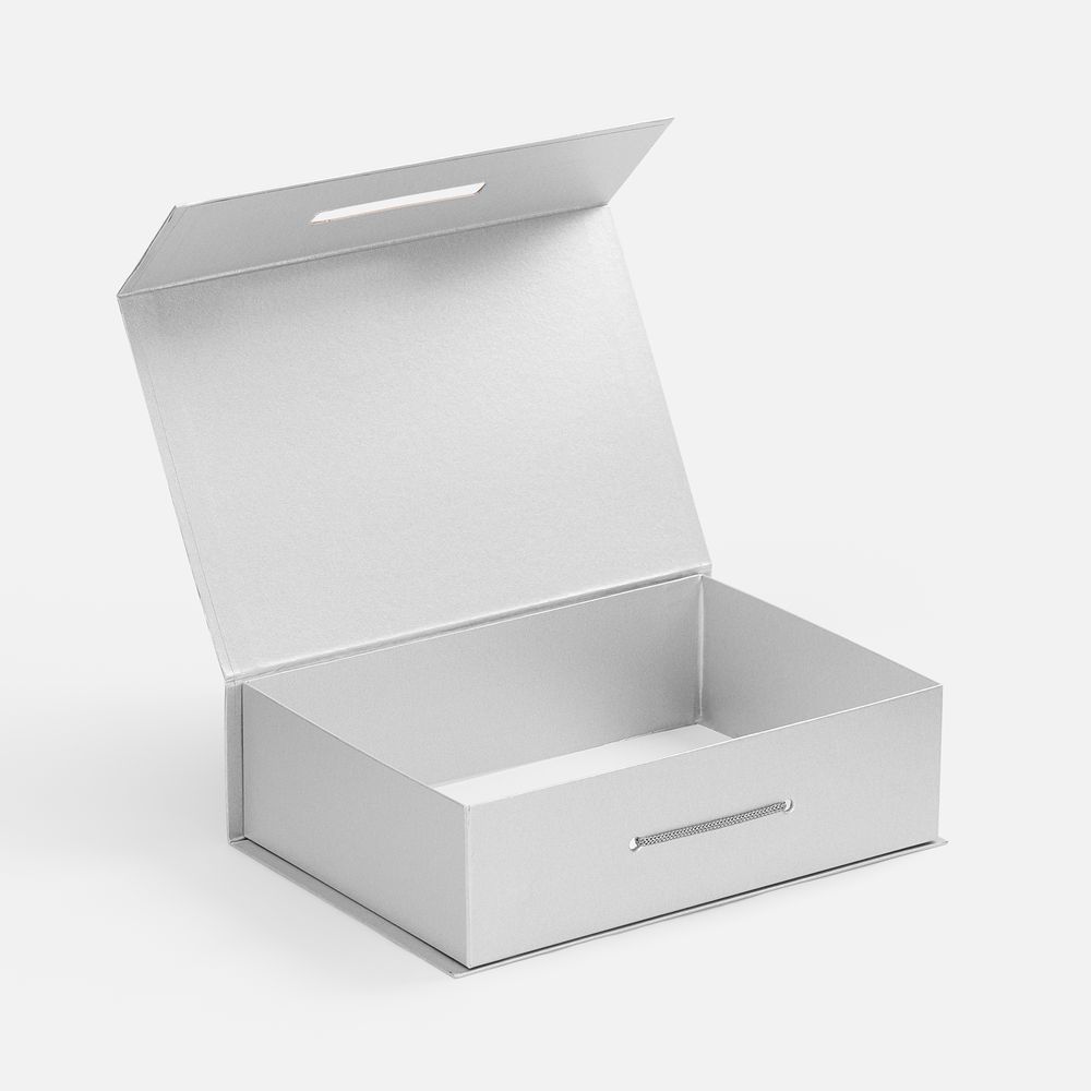 Коробка Case, серебристая-1