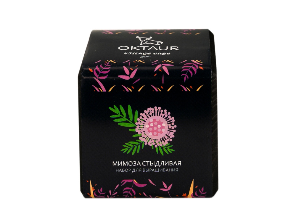 Набор для выращивания Small village cube Мимоза стыдливая-1