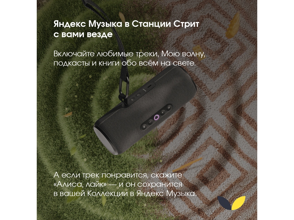 Умная портативная колонка Яндекс Станция Стрит с Алисой, черный (YNDX-00030BLK)-9