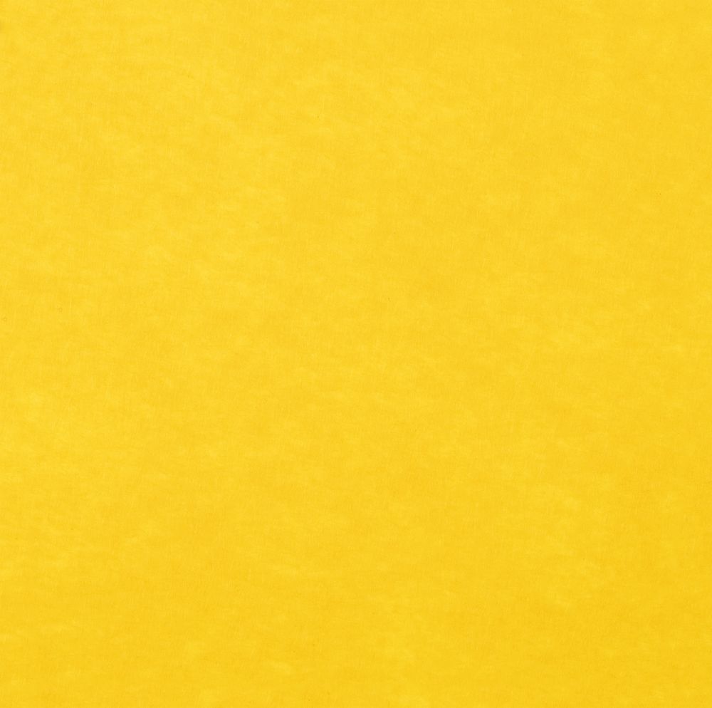 Заготовка из фетра Felt S, желтый-1