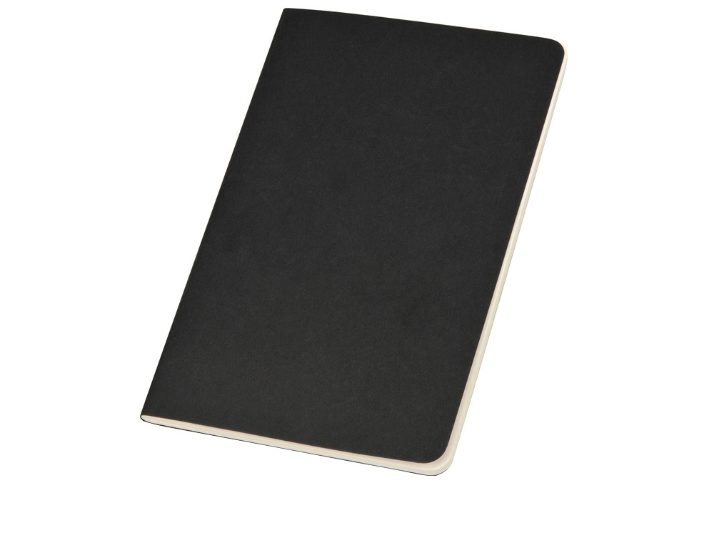 Записная книжка Moleskine Cahier (в клетку, 1 шт.), Large (13х21см), черный-0