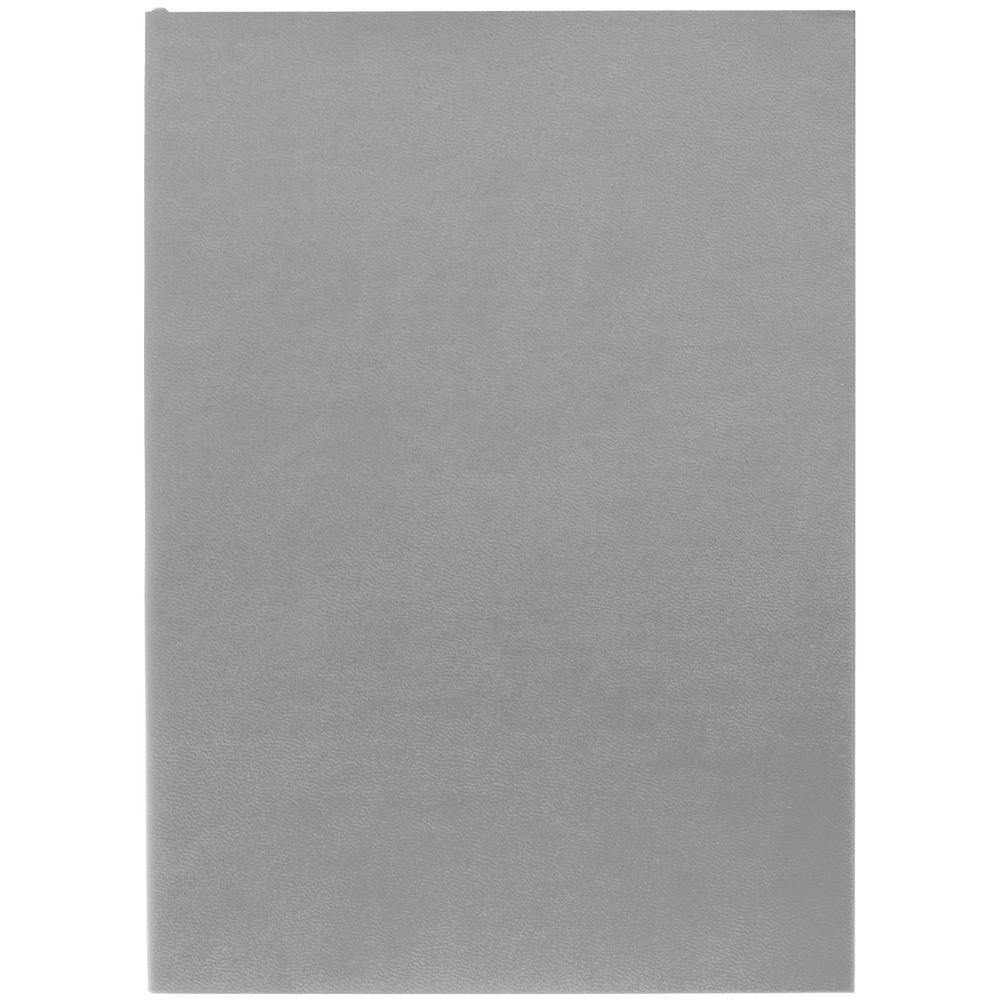 Ежедневник Flat Light, недатированный, серый-0