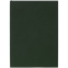 Ежедневник Flat Light, недатированный, зеленый