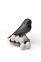 Набор магнитов Egg Sparrow, Черно-Белый